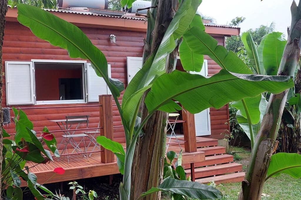 Chalet Les Azalees Льо Тампон Екстериор снимка